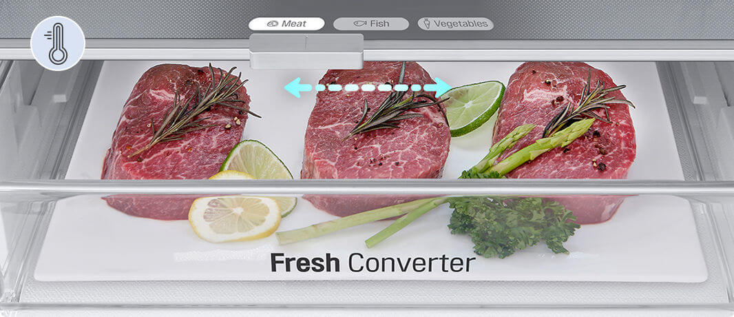 Verslade met Fresh Converter voor vlees, vis en groenten in de LG GBV3200DSW koelkast